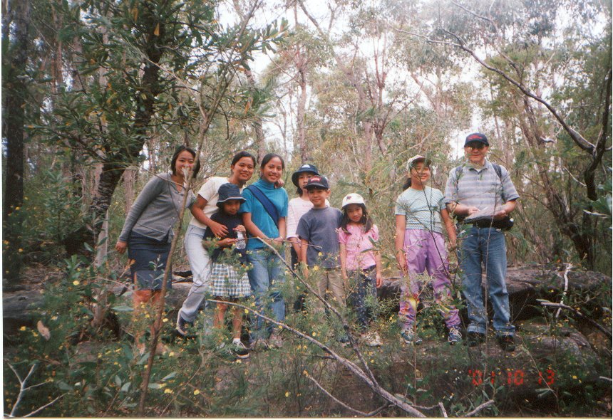 bushwalk2.jpg - 180901 Bytes